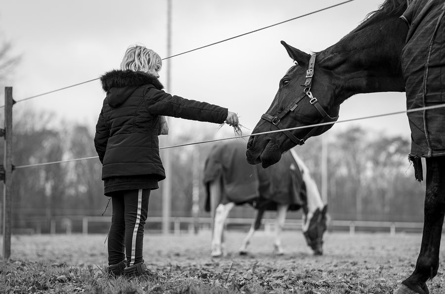 Tierfotografie